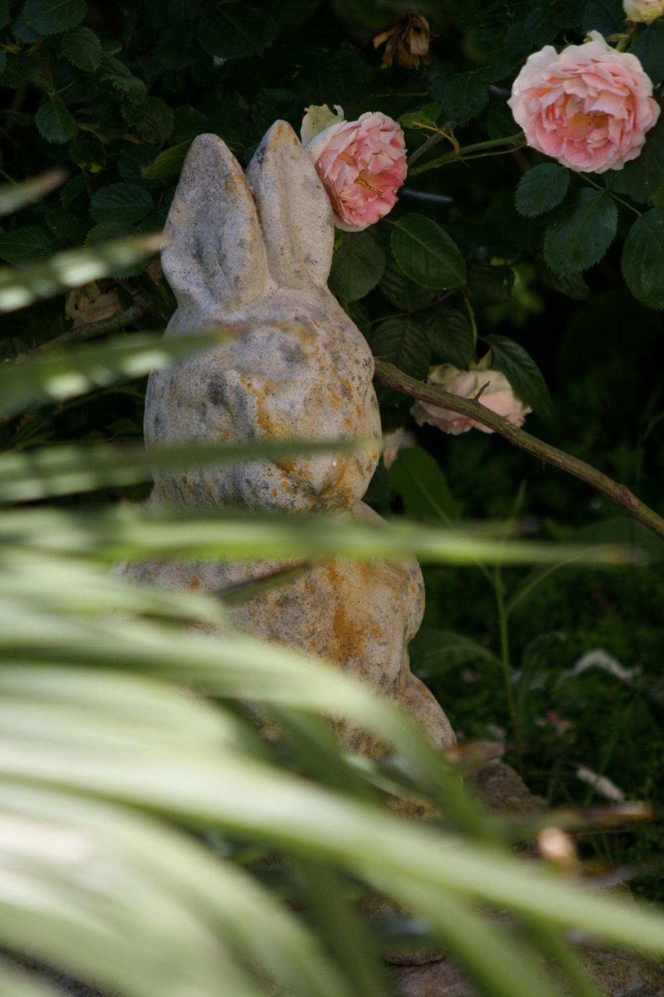 Saint-Rémy-de-ProvenceMas Alpilles Soleilアパートメント エクステリア 写真