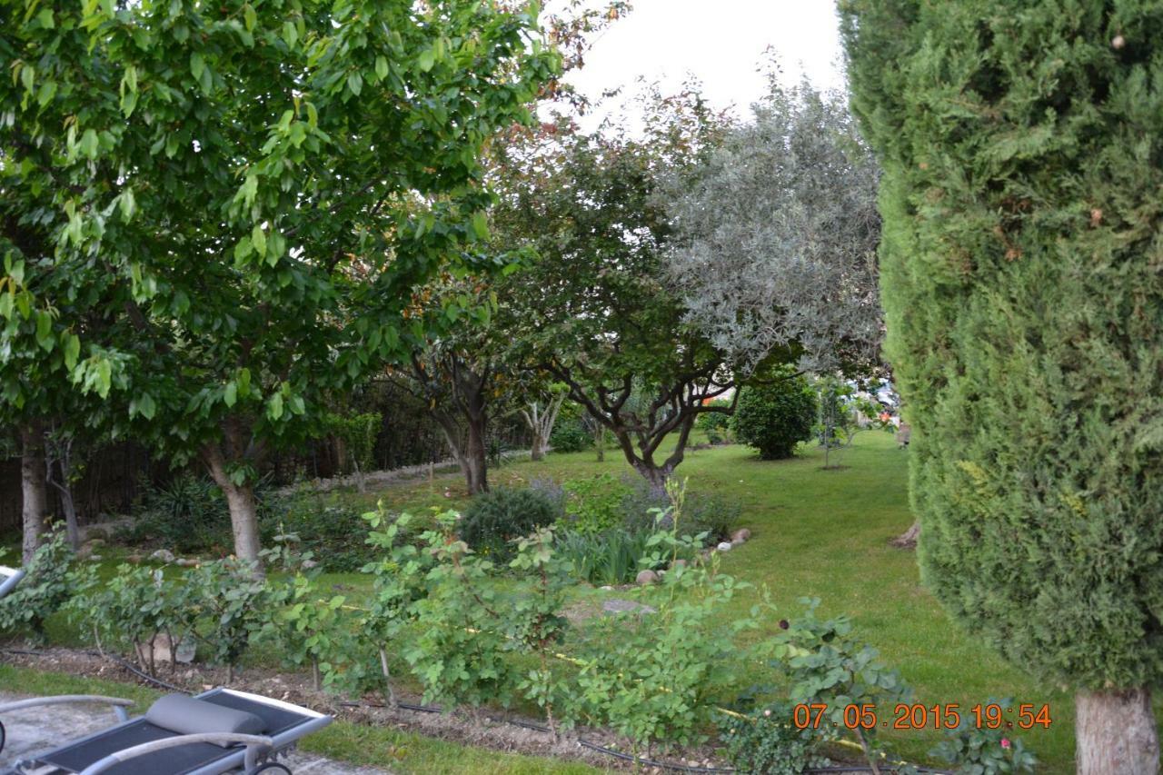 Saint-Rémy-de-ProvenceMas Alpilles Soleilアパートメント エクステリア 写真